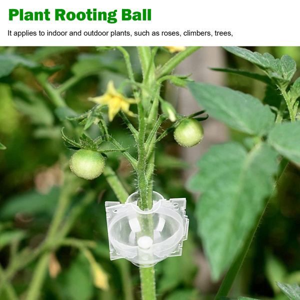 Plant Rooting Device Grow Graft Box High Pressure Propagation Ball