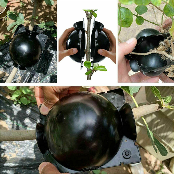 Plant Rooting Device Grow Graft Box High Pressure Propagation Ball