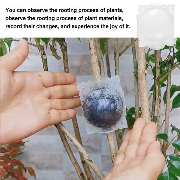 Plant Rooting Device Grow Graft Box High Pressure Propagation Ball