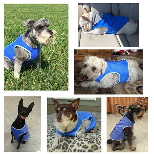 Summer Cooling Vest - Ultimate Heat Relief for Dogs and Cats, Stylish Pet Apparel for Outdoor Activities, Breathable and Comfortable Design for Hot Days （L码）