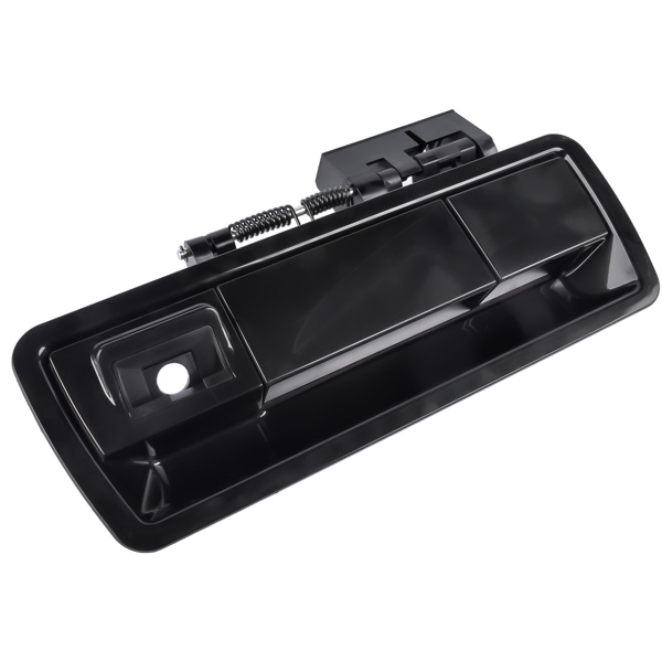 Rear Liftgate Outside Door Handle with Camera Hole for Nissan Armada 2005-2015