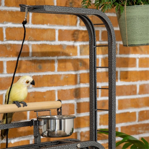 Parrot Stand  /Parrot Perch  ( Amazon Shipping)（Prohibited by WalMart）