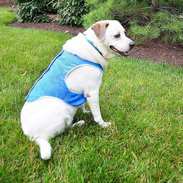 Summer Cooling Vest - Ultimate Heat Relief for Dogs and Cats, Stylish Pet Apparel for Outdoor Activities, Breathable and Comfortable Design for Hot Days （L码）