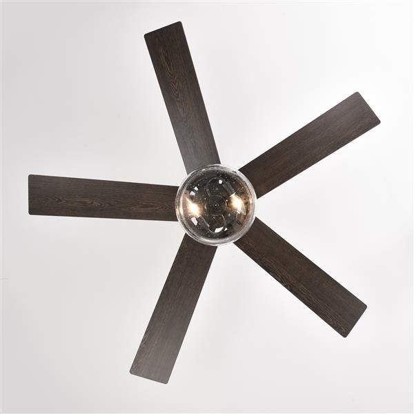 52-inch 5-blade Lighted Ceiling Fan with Remote Control , Glass Shade (Optional Remote) --Matte Black