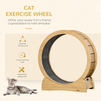 Cat Running Wheel /Cat Scratching Board ( Amazon Shipping)（Prohibited by WalMart）