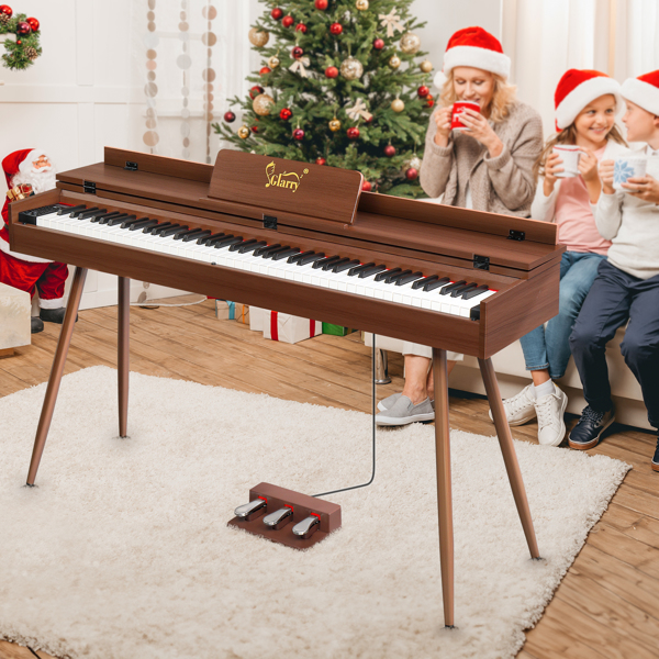 [Do Not Sell on Amazon]Glarry GDP-205 88 Key Standard Full Size Weighted Keyboards Digital Piano with Metal Stand, Audio and MIDI Bluetooth, Triple Pedals, Headphone