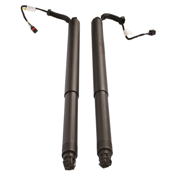 2Pcs Rear Left Right Power Lift Gate Cylinder Struts For 2015-2019 Nissan Murano 3.5L