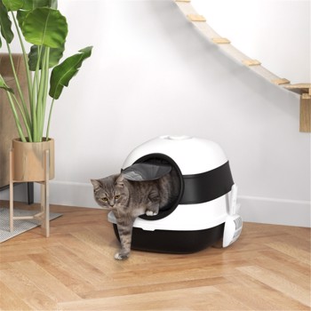 Pet Stairs/Cat Climbing Tower ( Amazon Shipping)（Prohibited by WalMart）