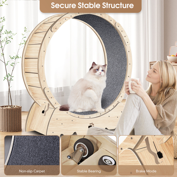 Cat Running Wheel /Cat Scratching Board 