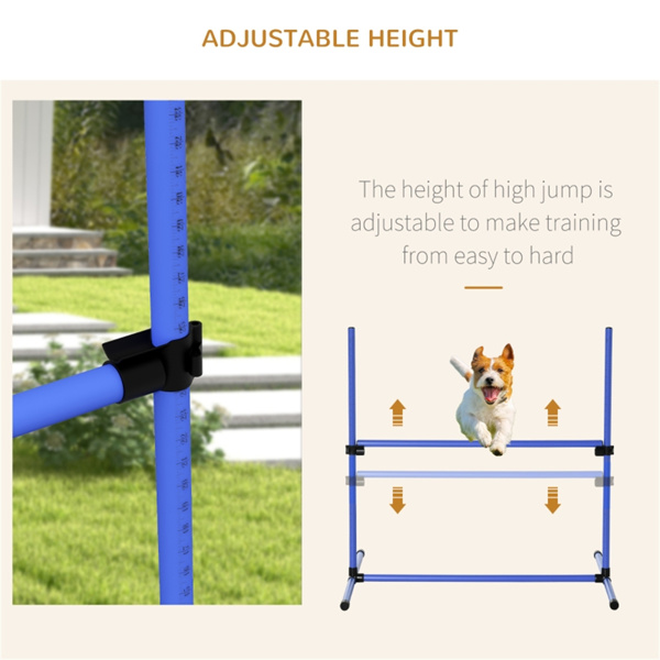 Dog Agility Set 