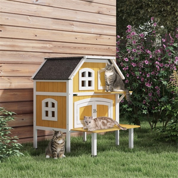 Cat House 