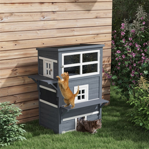 Cat House