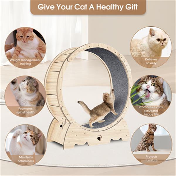 Cat Exercise Wheel for Indoor Cats, Cat Running Wheel with Carpeted Runway, Cat Sport Treadmill Wheel for Kitty's Longer Life, Fitness Weight Loss Device, 37" Natural Wood Color