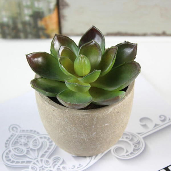 3X Artificial Succulent Potted Plants Small Fake in Pots Indoor Outdoor Decors