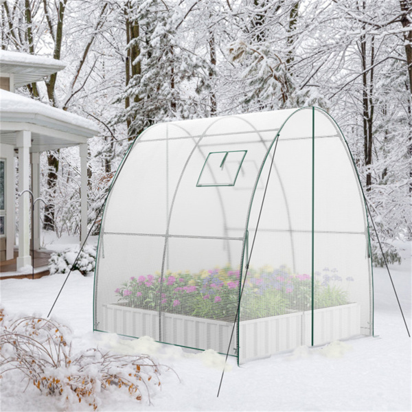 Outdoor Greenhouse 6 x 6 x 6.6 FT 