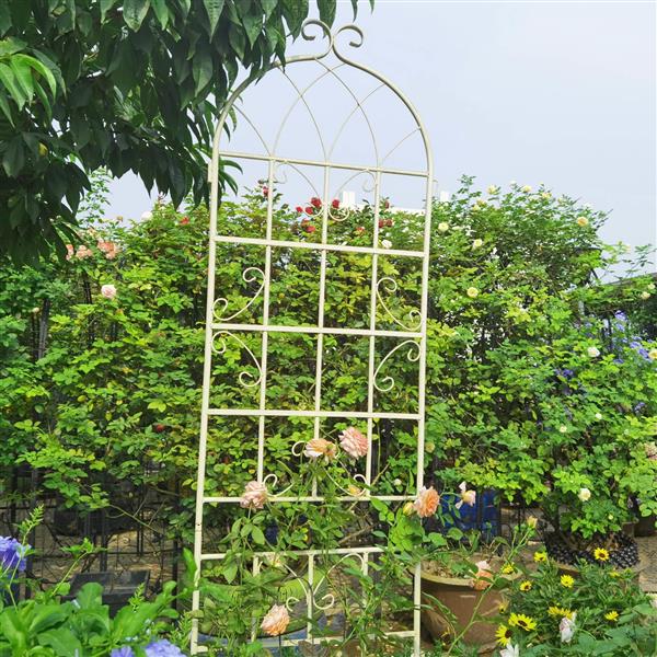 2 Pack Metal Garden Trellis 86.7" x 19.7" Rustproof Trellis for Climbing Plants Outdoor Flower Support Cream White