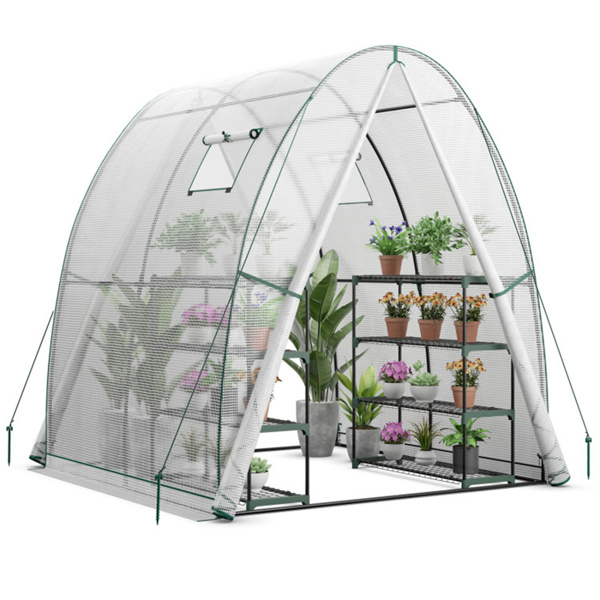 Outdoor Greenhouse 6 x 6 x 6.6 FT 