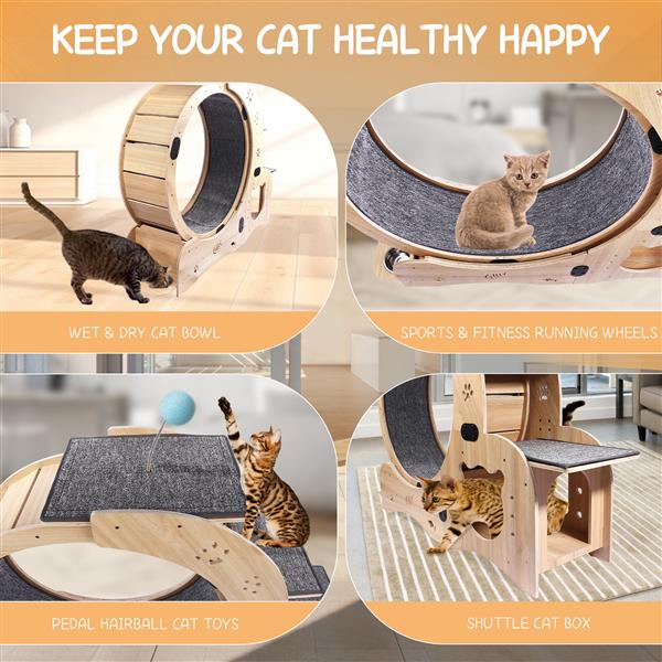 Cat Wheel 6-in-1 Cat Exercise Wheel,Upgraded Cat Wheel Exerciser for Indoor Cats,Large Cat Treadmill,Cat Running Wheel with Silent Wheel,Cat Walking Wheel Cat Furniture Cat Toys