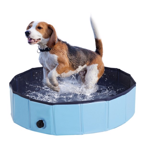 Dog Pool