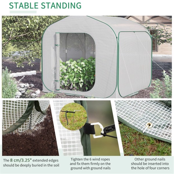 Mini Walk-in Greenhouse ( Amazon Shipping)（Prohibited by WalMart）