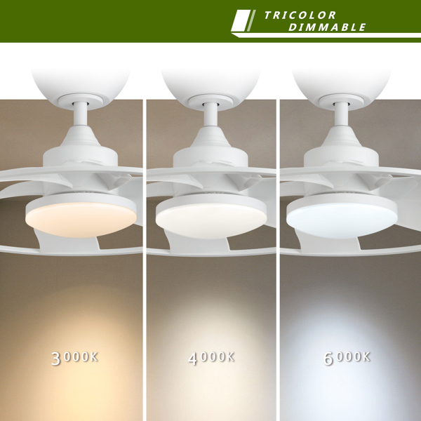 Light Pro 22英寸LED室内哑光白色智能吊扇，带直流电机【周末不发货，TK/TEMU订单仅支持自提】-4