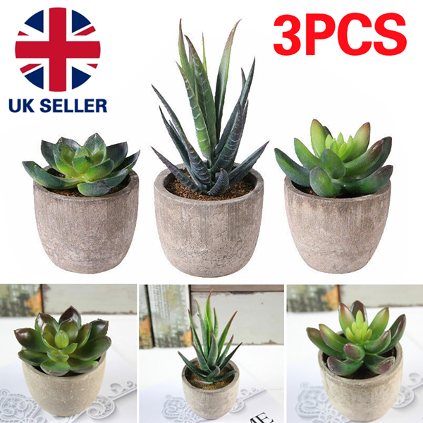 3X Artificial Succulent Potted Plants Small Fake in Pots Indoor Outdoor Decors