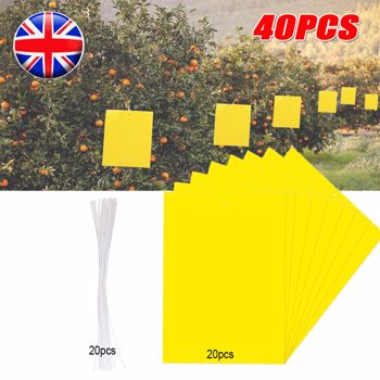 40Pcs Yellow Sticky Fly Trap Paper Fruit Flies Insect Aphids Glue Catcher Bug