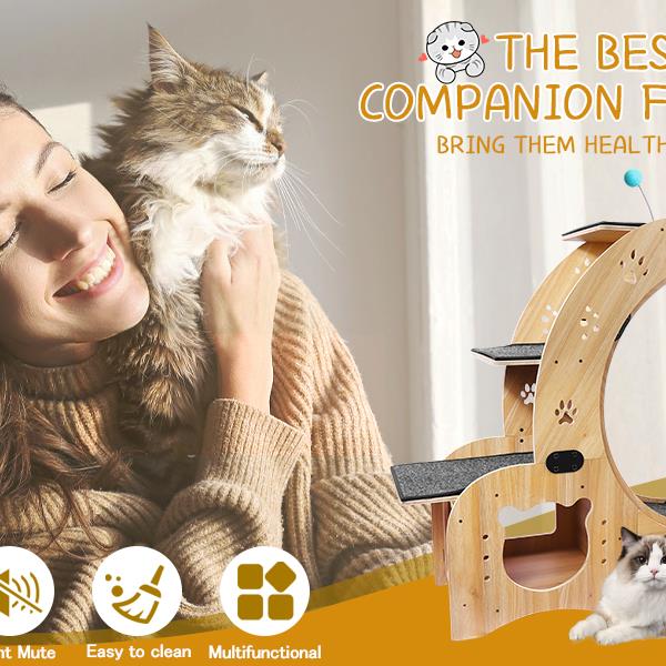 Cat Wheel 6-in-1 Cat Exercise Wheel,Upgraded Cat Wheel Exerciser for Indoor Cats,Large Cat Treadmill,Cat Running Wheel with Silent Wheel,Cat Walking Wheel Cat Furniture Cat Toys