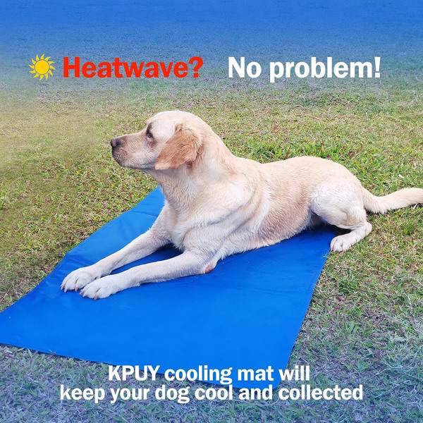 Pet Self Cooling Mat Cool Pad Non-Toxic Cushion Bed Blanket Dog Cat Puppy