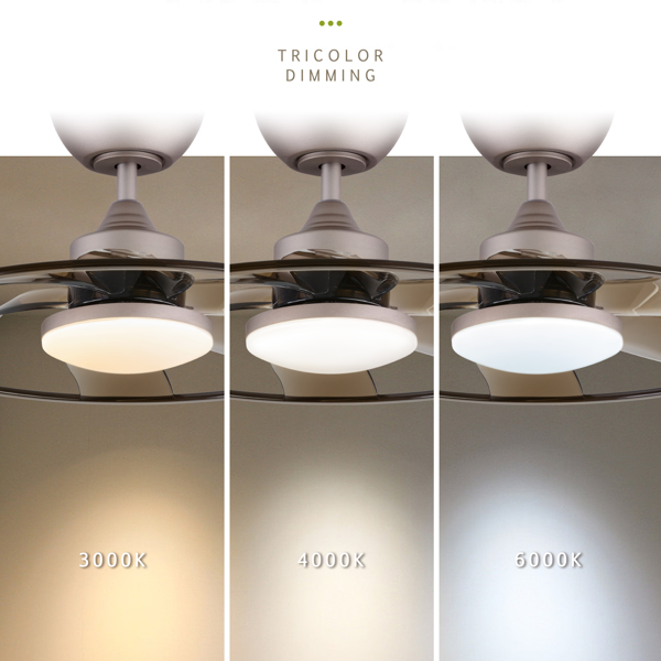 Light Pro 22英寸LED室内咖啡智能吊扇，带遥控器【周末不发货，TK/TEMU订单仅支持自提】-6