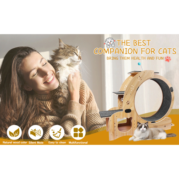 Cat Running Wheel /Cat Scratching Board 