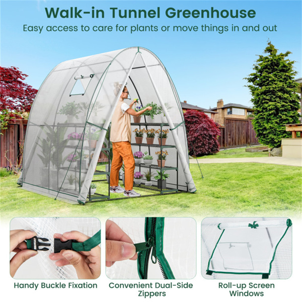 Outdoor Greenhouse 6 x 6 x 6.6 FT 