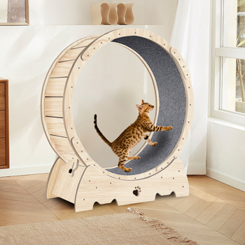 Cat Running Wheel /Cat Scratching Board 