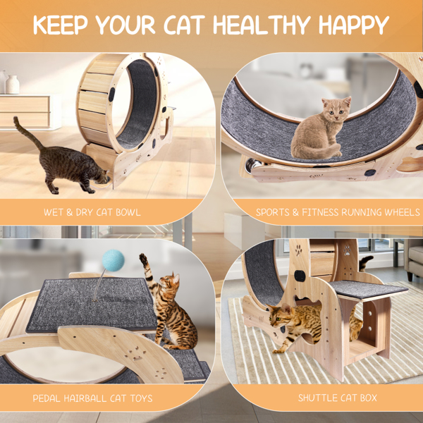 Cat Running Wheel /Cat Scratching Board 