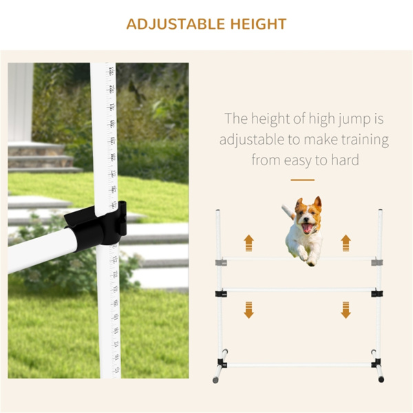 Dog Agility Set 