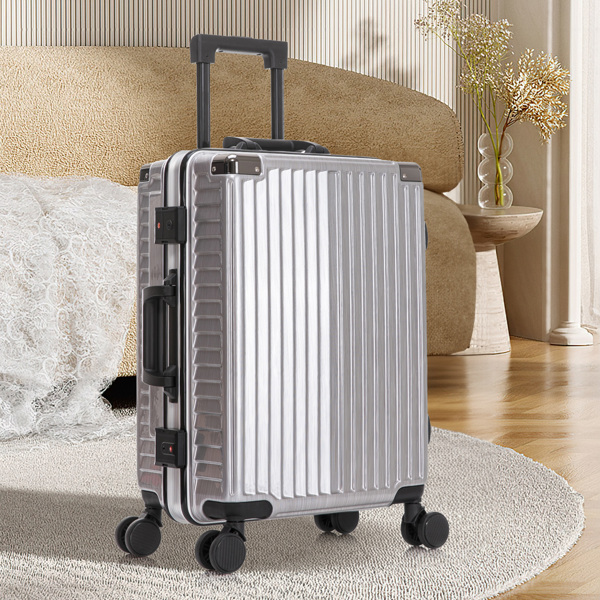 20 Inch PC Carry On Luggage Spinner Wheel Hardside Lightweight Luggage