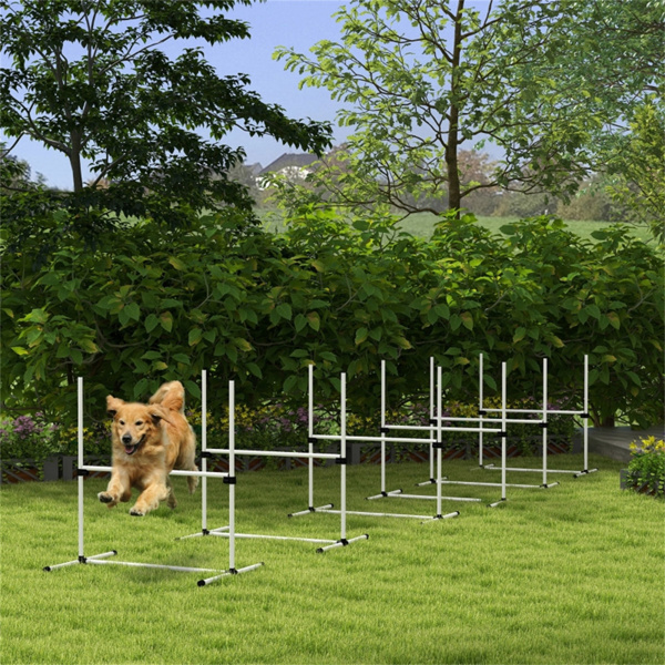 Dog Agility Set 