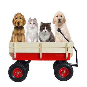 户外运动旅行车工具车木制侧板充气轮胎旅行车（红色）