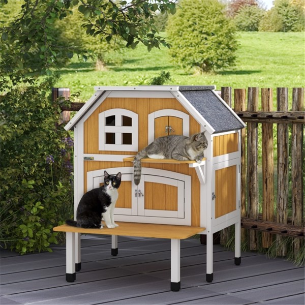 Cat House 