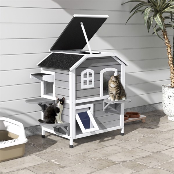 Cat House 