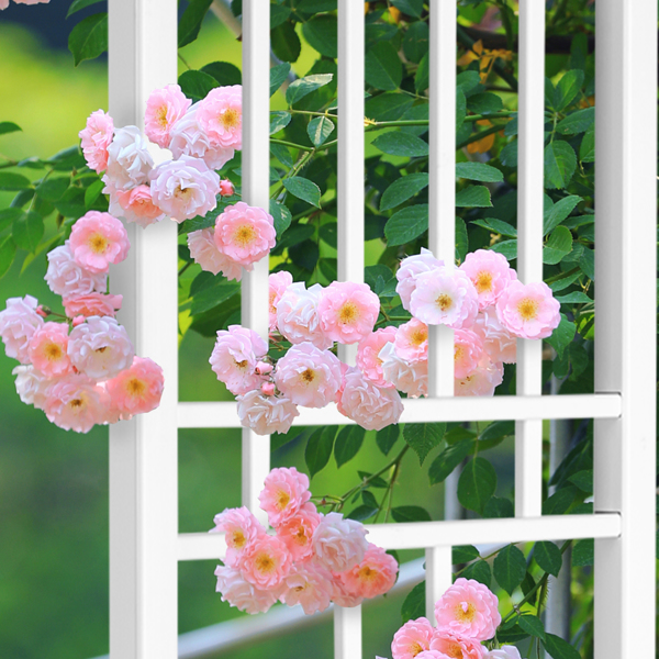 Garden Trellis 28"W x 75"H for Climbing Plants, Vinyl Trellis Indoor Outdoor Plant Support for Vines, Flowers, Vegetables, White