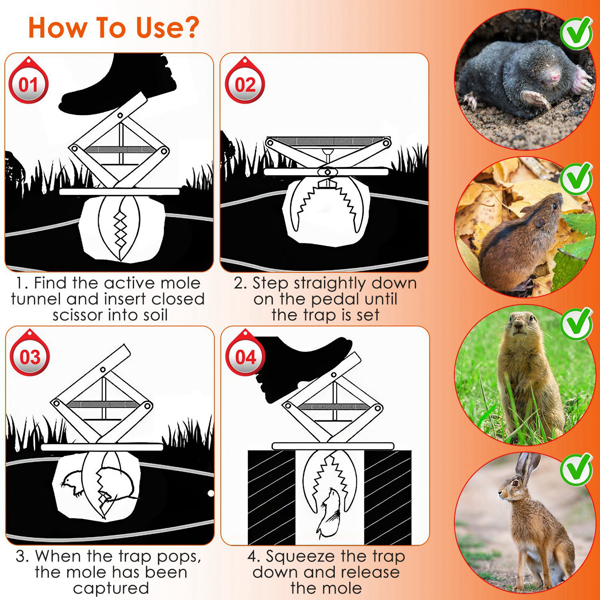 2PCS Easy Setup Mole Traps Outdoor Reusable Scissor Mole Gopher Rodent Control Trap Solid Metal Material For Lawn Garden Yard（No shipments on weekends）