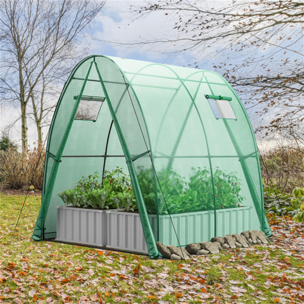 Outdoor Greenhouse 6 x 6 x 6.6 FT 