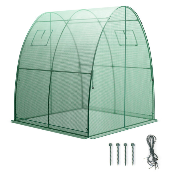 Outdoor Greenhouse 6 x 6 x 6.6 FT 