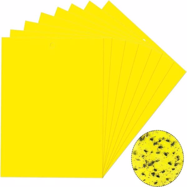 40Pcs Yellow Sticky Fly Trap Paper Fruit Flies Insect Aphids Glue Catcher Bug