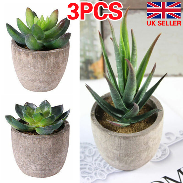 3X Artificial Succulent Potted Plants Small Fake in Pots Indoor Outdoor Decors