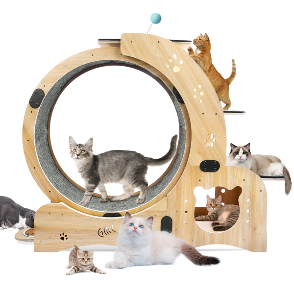 Cat Running Wheel /Cat Scratching Board 