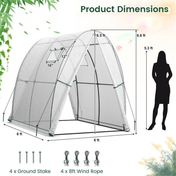 Outdoor Greenhouse 6 x 6 x 6.6 FT 