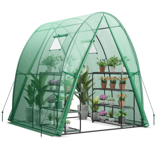 Outdoor Greenhouse 6 x 6 x 6.6 FT 