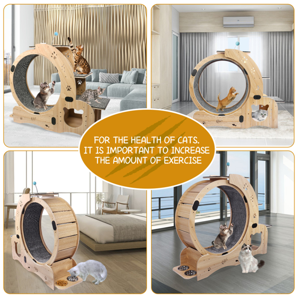 Cat Running Wheel /Cat Scratching Board 